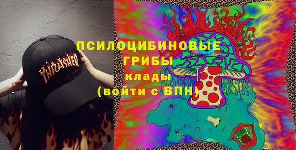 apvp Богданович