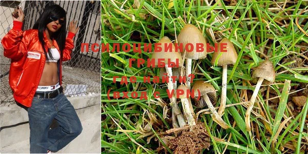 альфа пвп Богородицк