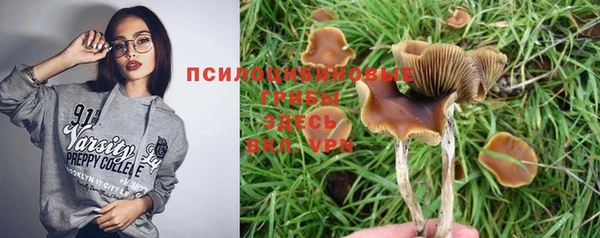 альфа пвп Богородицк
