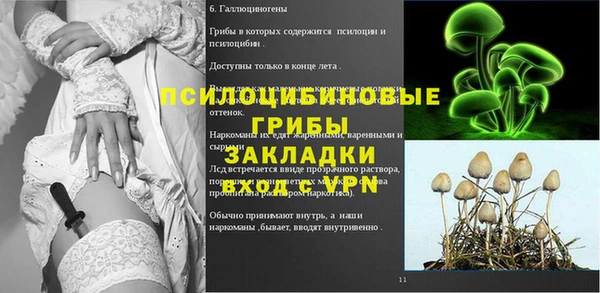 прущие крисы Богородск
