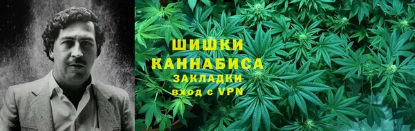 apvp Богданович